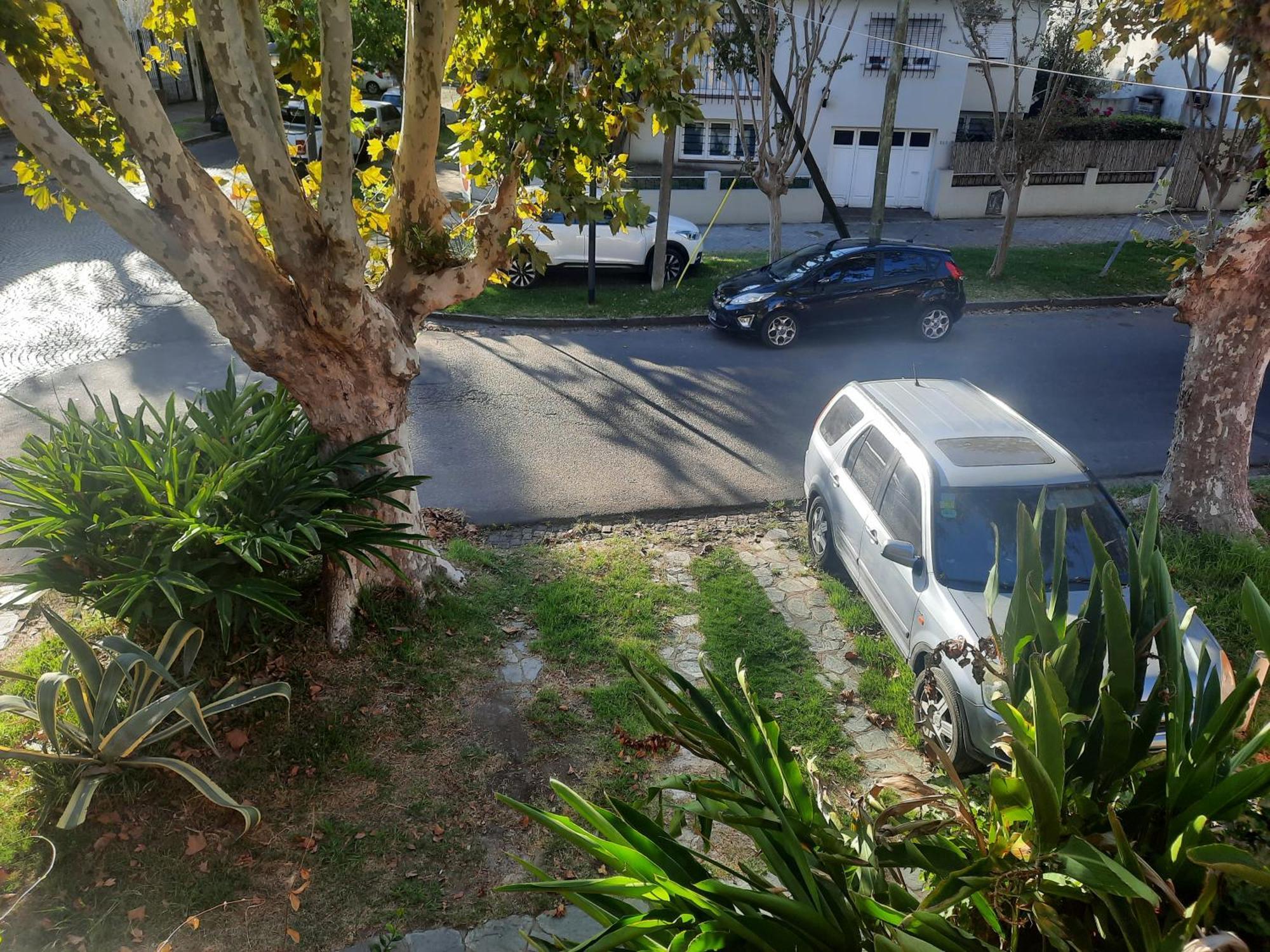 Aparts Del Jardin 蒂格雷 外观 照片